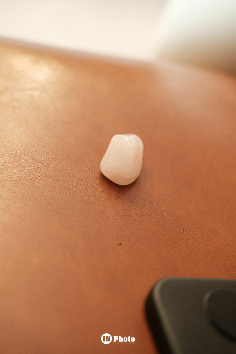 Foto Cobertura Fotográfica de Evento: Como Foi o Lançamento do Wellness Club A Cápsula Foto Cobertura Fotográfica de Evento: Como Foi o Lançamento do Wellness Club A Cápsula - Imagem 199